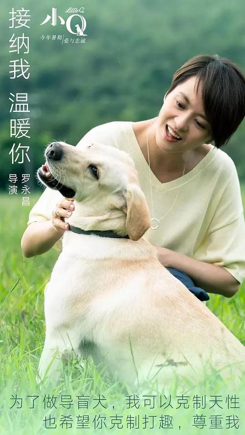 秘鲁 Movistar 法案作假